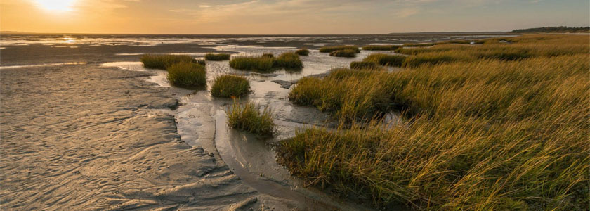 baie somme 00