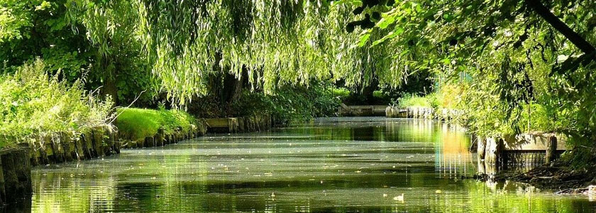 hortillonnages amiens 00
