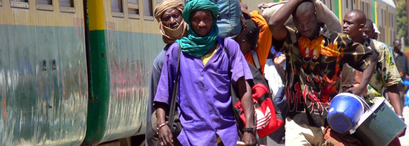 dakar amako nonchalant express 00