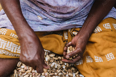 decouverte gastronomie senegal 01